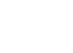logo bespoke computing white