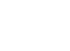 logo bespoke computing white